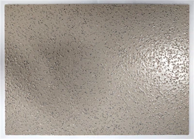 Bathroom PVC Safety Flooring